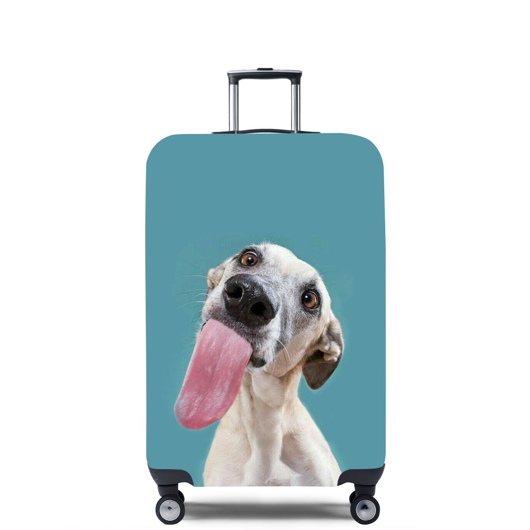 弹力箱套保护罩防尘袋