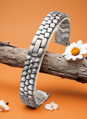 细表链女表带钢带10mm8m适用罗拉小绿表DW卡西欧聚利时马克华菲CK