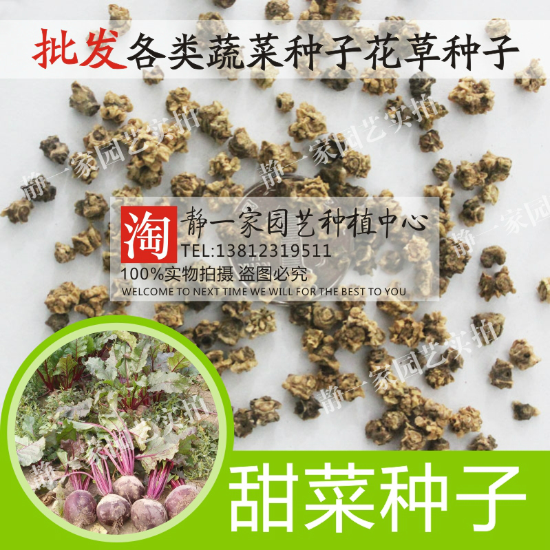 蔬菜种子四季田园红萝卜