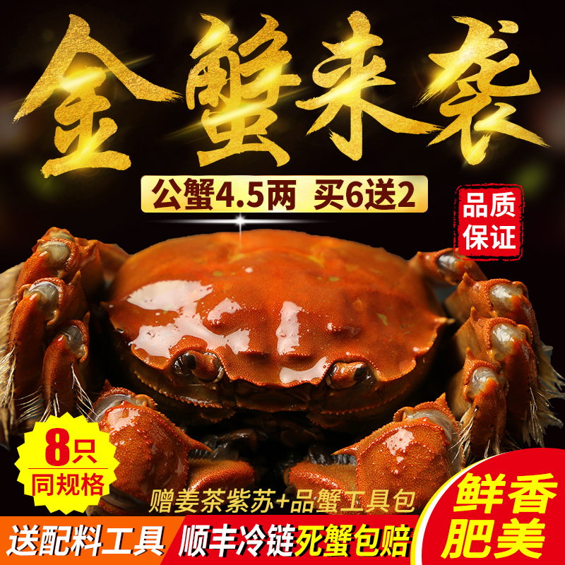 現貨螃蟹鮮活大閘蟹全公蟹4.5兩買6送2共8只禮盒裝産地新鮮活水産在類目 水產肉類/新鮮蔬果/熟食, 海鮮/水產品/製品, 蟹類, 大閘蟹中 - 來自Buy2taobao.com提供專業的淘寶代購服務
