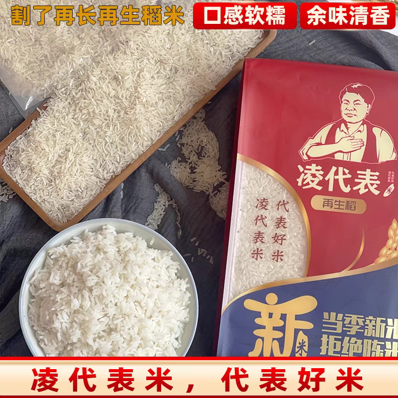 凌代表再生稻大米江西南昌香