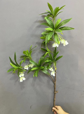 仿真水石榕花叶北欧绿植小清新手感植物装饰摆件婚庆摄影造景假花