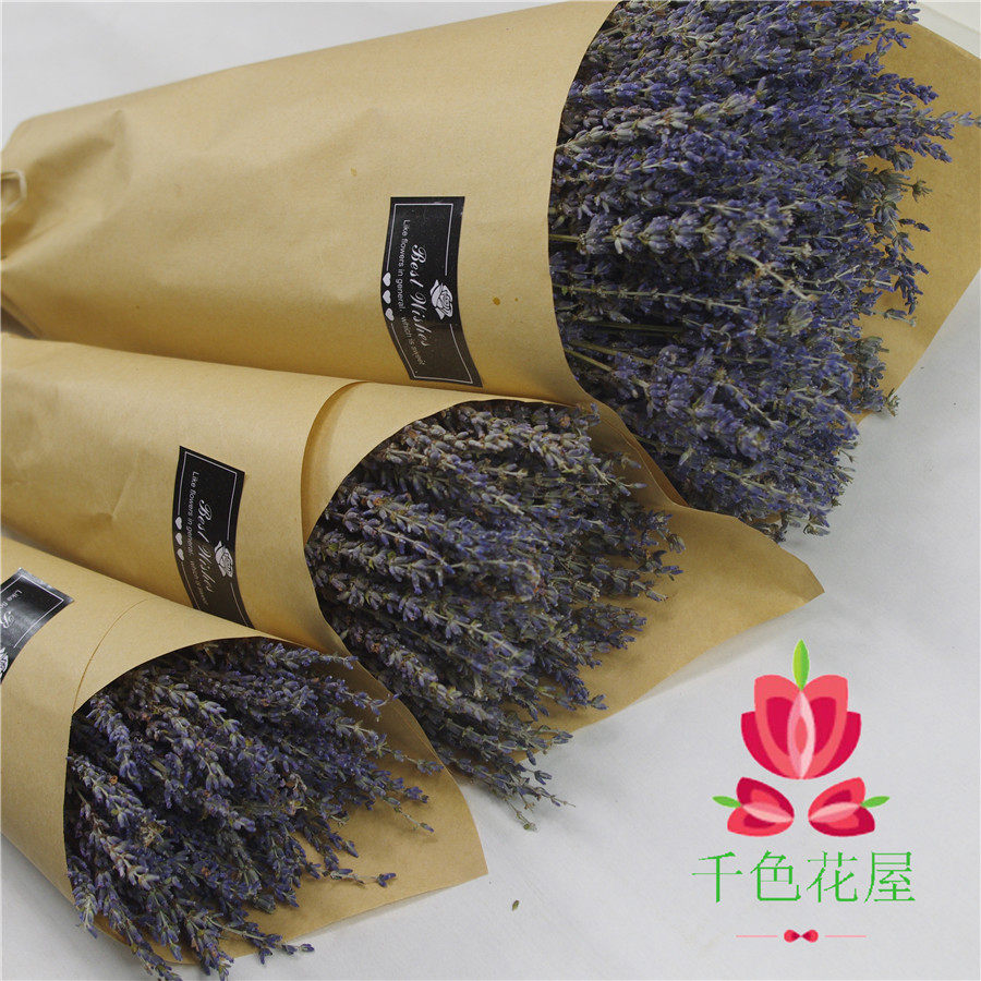 薰衣草干花束客厅家居装饰真花安神助睡眠去异味女友礼物24年新花