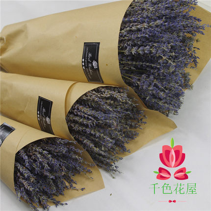薰衣草干花束客厅家居装饰真花安神助睡眠去异味女友礼物24年新花
