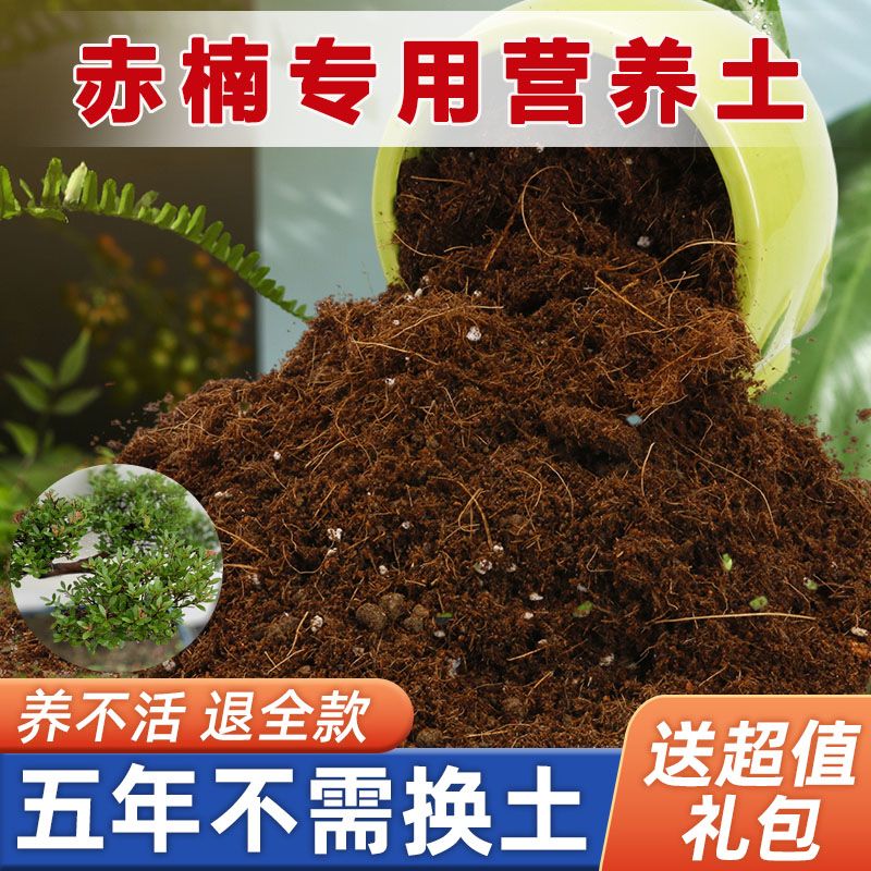 赤楠树专用土家用盆栽营养土疏松透气酸性沙质土壤绿植园艺种植土图片