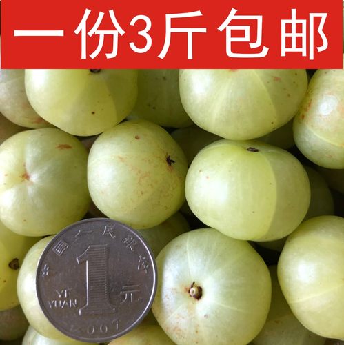 现摘新鲜采摘油柑子油甘果孕妇酸水果牛甘果余甘子滇橄榄3斤包邮