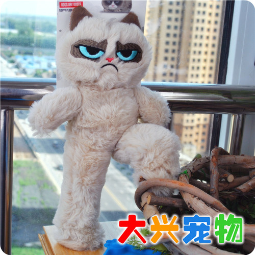 英国GrumpyCat响纸逗猫玩具1个