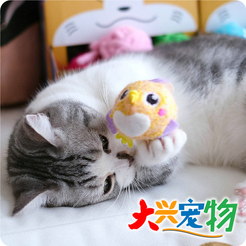 大兴宠物●中国 FOFOS两只福狸 猫咪趣趣球 随时随地●自嗨猫玩具