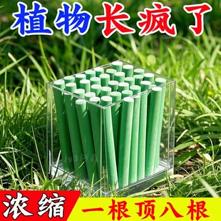 植物缓释棒绿植专用营养棒家用通用型氮磷钾花肥料绿植花卉缓释肥