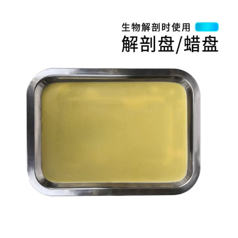 解剖盘19*26cm蜡盘 初中高中生物实验器材学生用生物教学教具仪器