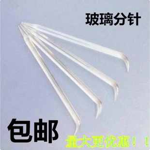 玻璃分针/分针/分离针/玻璃分针用于组织分离5支一组解剖器解剖针
