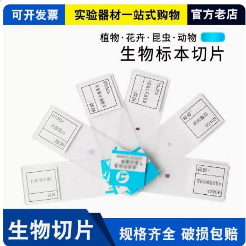 生物切片标本 显微镜玻片标本套装 初中学生儿童学生动物植物细胞