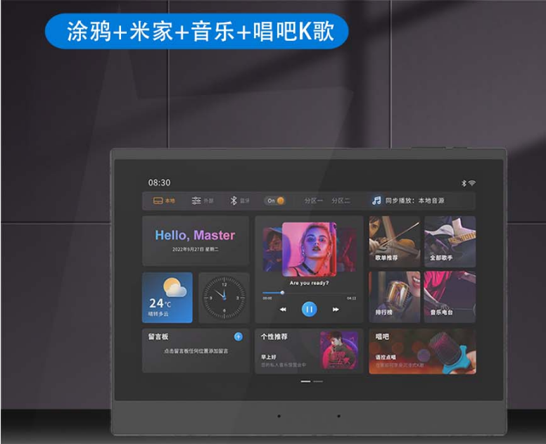 智能语音家用背景音乐主机系统套装功放吸顶音响蓝牙功放米家涂鸦