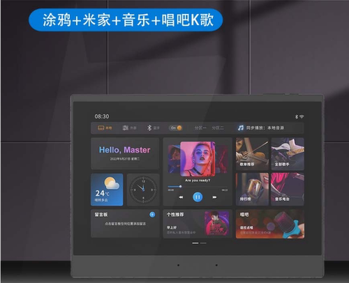 智能语音家用背景音乐主机系统套装功放吸顶音响蓝牙功放米家涂鸦 - 封面