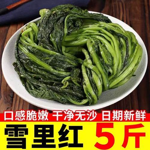 咸菜农家雪里蕻新菜酱菜新鲜雪菜爽口腌制雪里红下饭菜青腊菜袋装