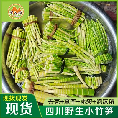 现货三月小竹笋野生新鲜现挖去壳手剥食用小春笋脆甜嫩笋尖包邮