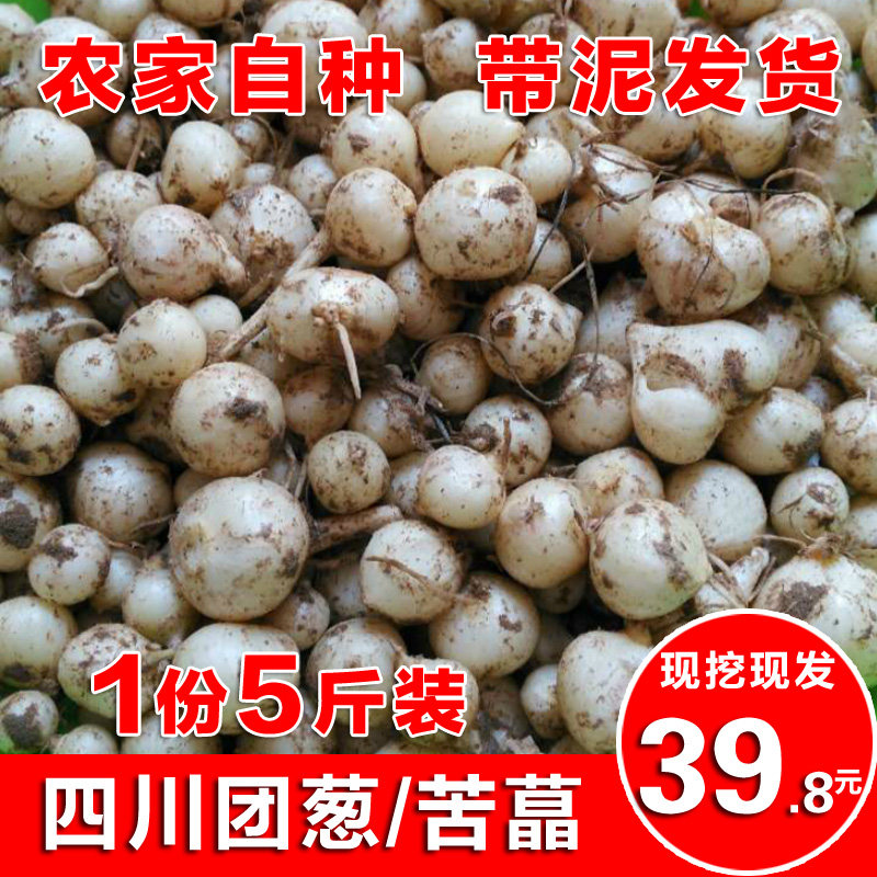 四川农家自种现挖现发新鲜团葱小洋葱头苦茭头苦藠蒜薤白食用包邮