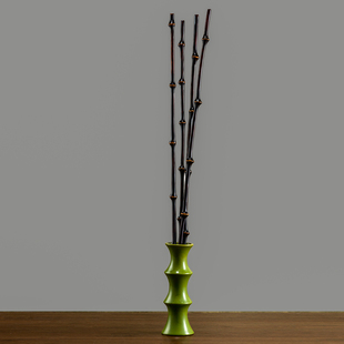 金雷竹教鞭筇竹大漆紫竹金竹竹条家用竹根竹子竹鞭密竹杆藤条棒