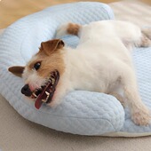 可拆洗记忆绵宠物凉垫带枕头冰丝冰垫圆形狗垫猫垫夏天透气垫子