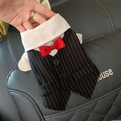 薄款衬衫金毛泰迪小型犬