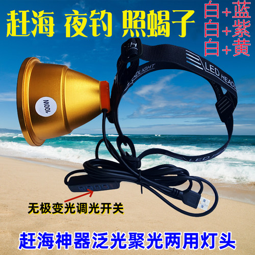 鸿顺夜钓灯头100W蓝白散光照蝎子