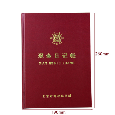 成文厚现金日记账银行存款帐