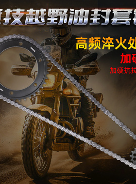 适配雅马哈FZR/YFZ600 94-95 FZS600 98-03前后牙盘链轮链条套链