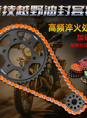 适用川崎ZX-9R摩托车ZX900改装大小齿链轮静音油封链条三件套配件