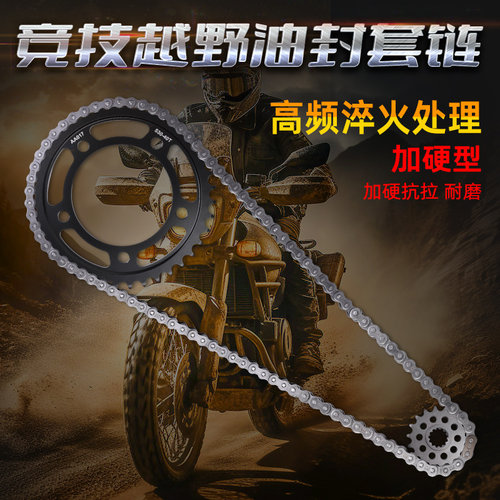 CB1100渗碳钢链轮新品促销大小飞