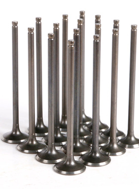 适用雅马哈FZ400摩托跑车配件1WG氮化气门油封FZR400进气门排气门