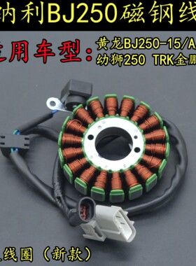 适用贝纳利小黄龙BJ250-15/A/E小幼狮250小金鹏251磁电机线圈定子