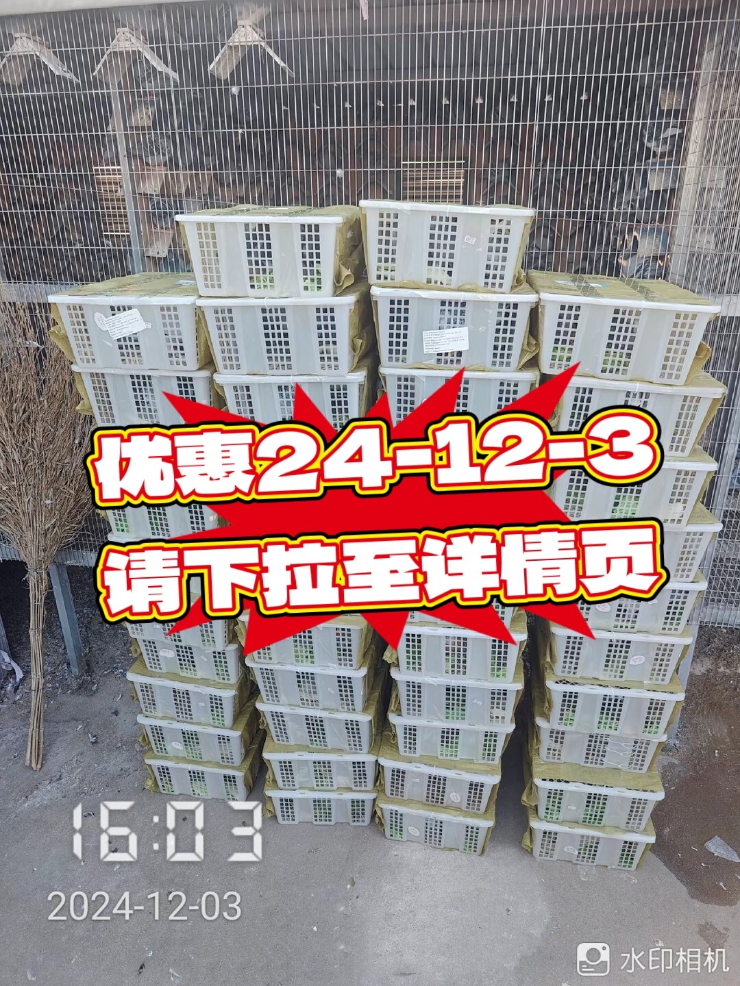 双子束信鸽赛鸽成绩鸽公棚获奖鸽PLC