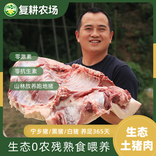 复耕农场 生态土猪肉现宰现发0抗0激素宁乡花猪 顺丰包邮(非偏远)