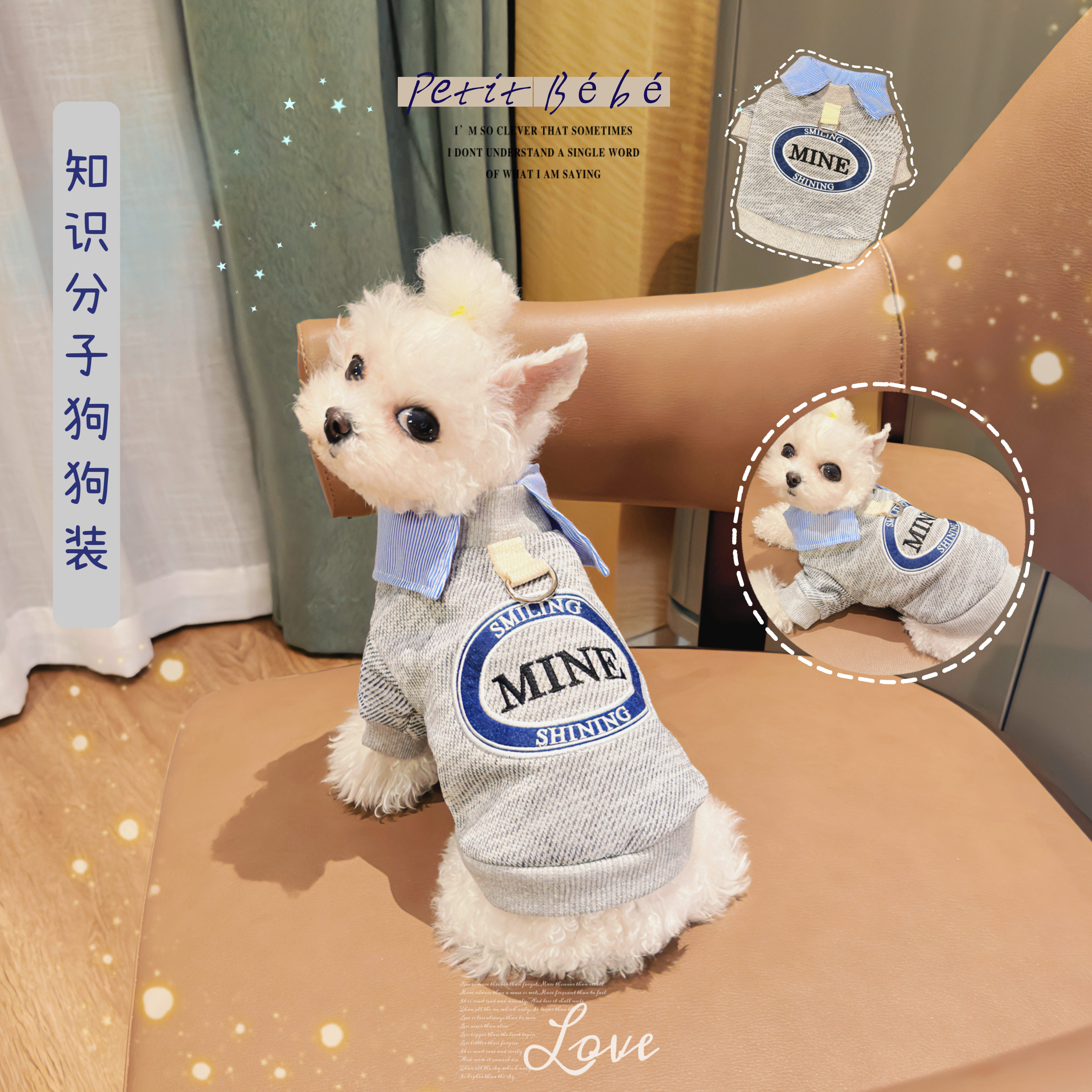 《知识分子》狗狗秋装卫衣小猫咪