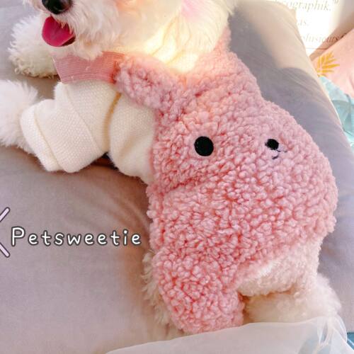 服装加绒加厚保暖秋冬泰迪比熊