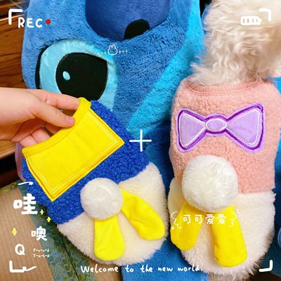 马尔济斯约克夏比熊万圣节衣服狗