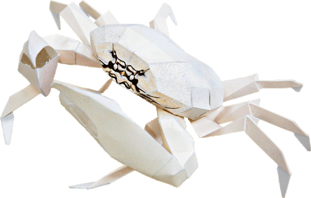 满48包邮海洋生物 白蟹螃蟹 3d纸模型diy手工劳动非成品