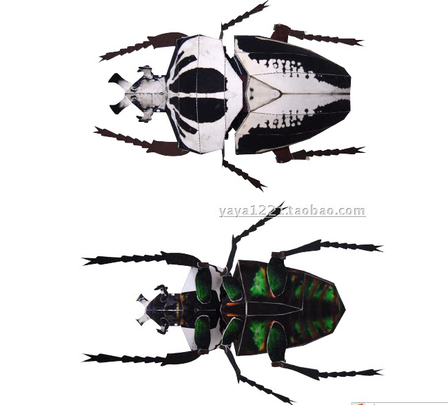 满48包邮手工昆虫甲虫帝王大花金龟子3d纸模型diy非成品含说明