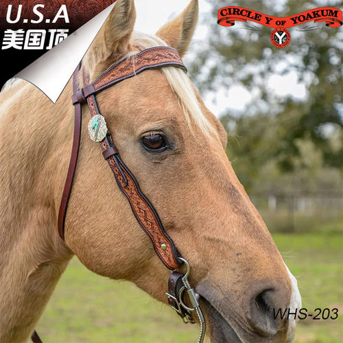 美国CircleY西部马鞍水勒胸带套装印花牛皮雕花西式马笼头