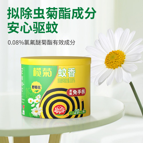 榄菊正品免拆型野菊花型