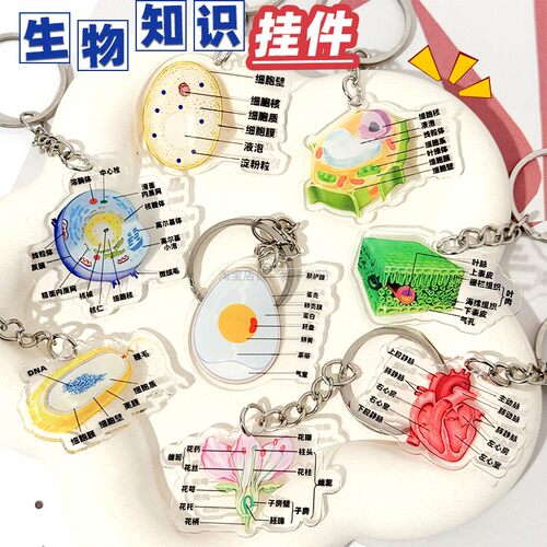 生物知识亚克力励志钥匙扣