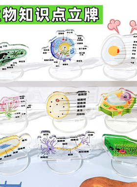 生物知识点透明亚克力立牌摆件