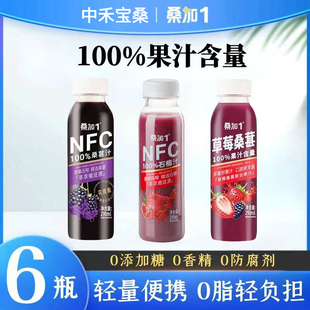 桑加1桑葚汁nfc不加水石榴汁草莓汁网红品整箱饮料饮品