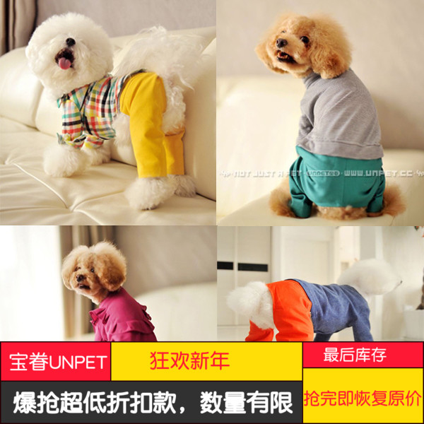宝眷unpet 泰迪雪纳瑞宠物狗狗潮衣服秋冬服装水果四色西装骚裤