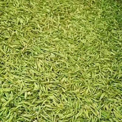 2025年新茶春茶雨前茶大佛龙井茶绿茶超值简装包邮