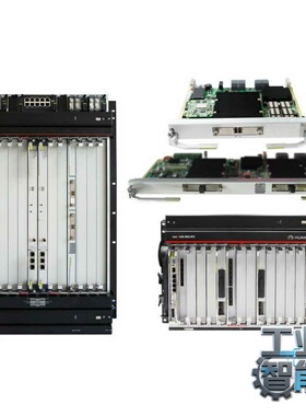 询价华为TNS2N22020路10G统一线路业务处理板