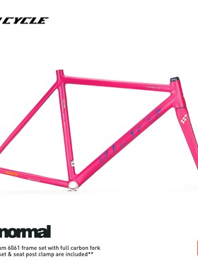 BJ CYCLE abnormal全碳前叉 FRAME死飞固齿单速竞速车架超轻