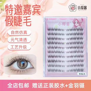 假睫毛自然仿真透明梗軟毛單簇 小櫻醬新款 2025特邀嘉賓假睫毛