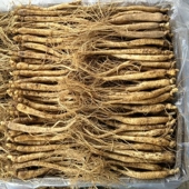 新鲜人参长白山参现挖小人参养殖人参餐饮小参整枝熬夜水人参