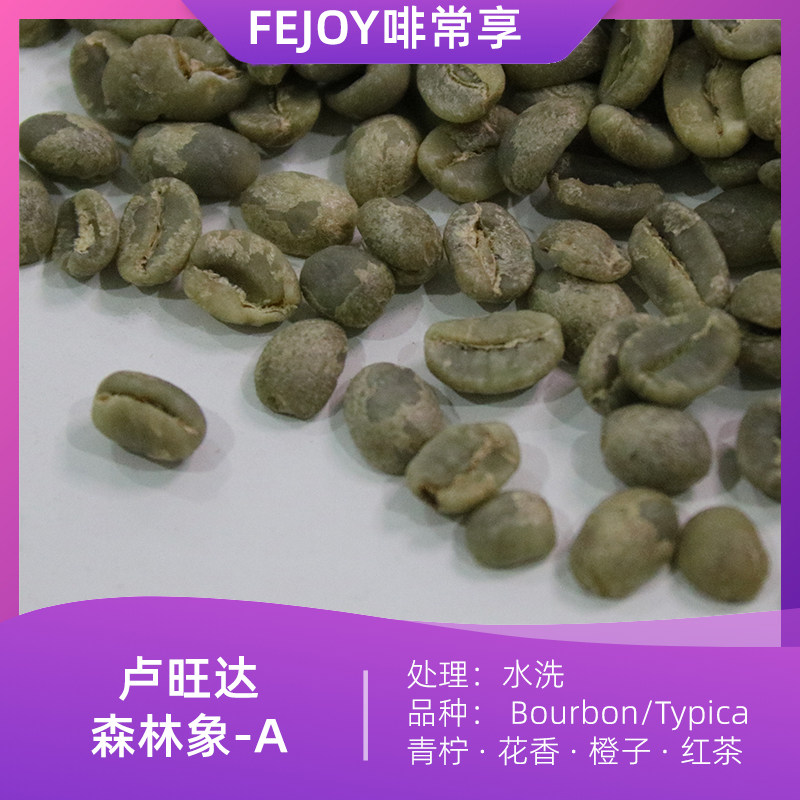 25季卢旺达森林象A 水洗咖啡生豆波旁铁皮卡 青柠|花香|橙子|红茶